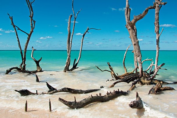 Radreise durch Kubas Westen - Cayo Jutia