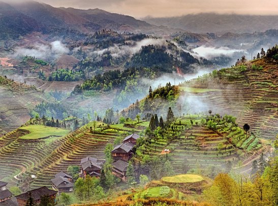 China - Natur & Kultur (Gruppenreise) - Reisterrassen bei Longsheng