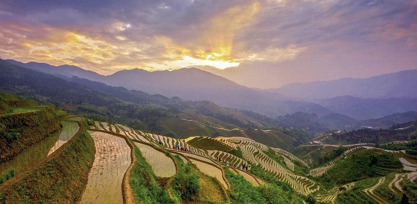 China - Natur & Kultur (Gruppenreise) - Reisterrassen Longsheng