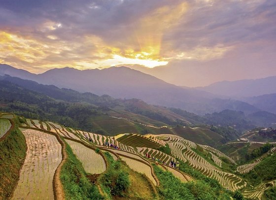 China - Natur & Kultur (Gruppenreise) - Reisterrassen Longsheng