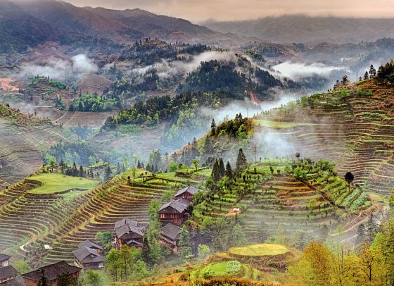 China - Natur & Kultur (Gruppenreise) - Reisterrassen bei Longsheng