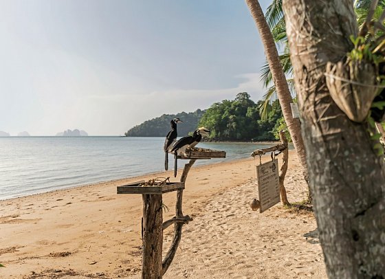 Paradise Koh Yao