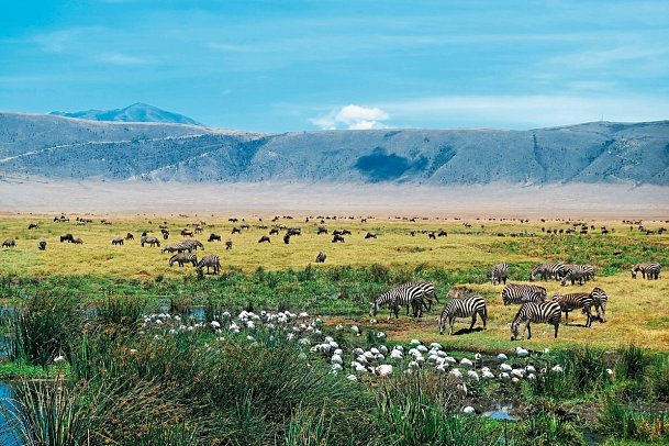 Magisches Tansania - Ngorongoro Krater