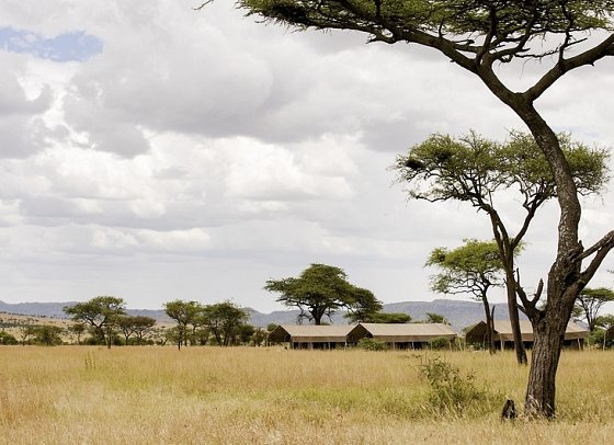 Tansania Explorer - Serengeti Pure