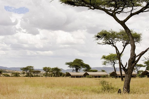 Tansania Explorer - Serengeti Pure