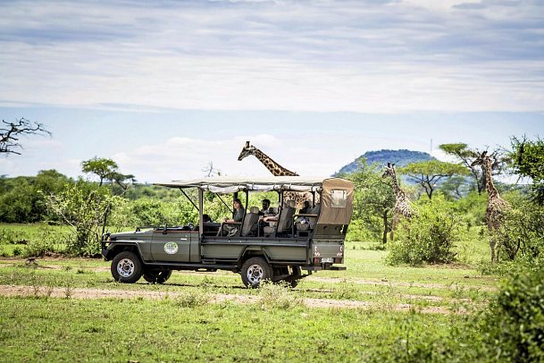 Magie der Savanne - Zwischen Baobabs und Kilimandscharo (7 Nächte) - Safari im Grumeti Wildreservat