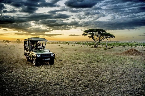 Magie der Savanne - Zwischen Baobabs und Kilimandscharo (7 Nächte) - Safari im Grumeti Wildreservat