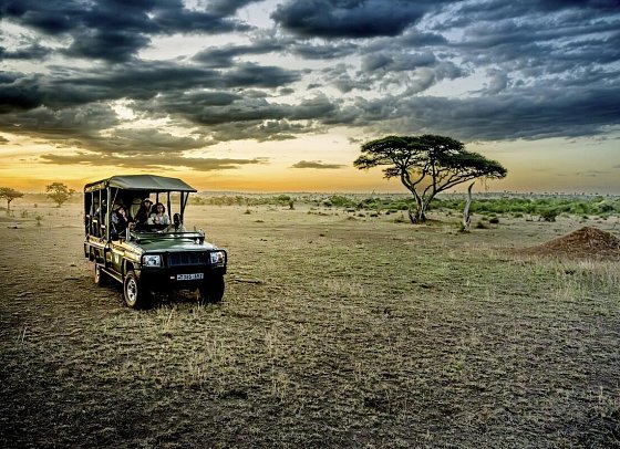 Magie der Savanne - Zwischen Baobabs und Kilimandscharo (7 Nächte) - Safari im Grumeti Wildreservat