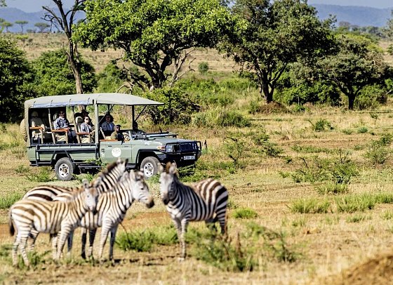 Magie der Savanne - Zwischen Baobabs und Kilimandscharo (7 Nächte) - Safari im Grumeti Wildreservat