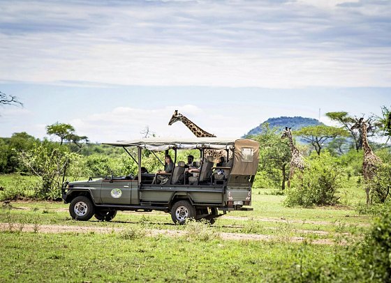 Magie der Savanne - Zwischen Baobabs und Kilimandscharo (7 Nächte) - Safari im Grumeti Wildreservat