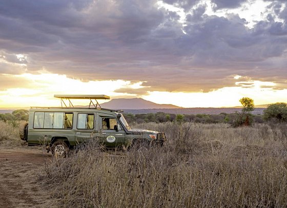 Magie der Savanne - Zwischen Baobabs und Kilimandscharo (5 Nächte) - Safari im Tarangire Nationalpark