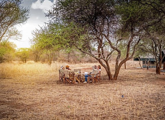 Magie der Savanne - Zwischen Baobabs und Kilimandscharo (5 Nächte) - Olaado