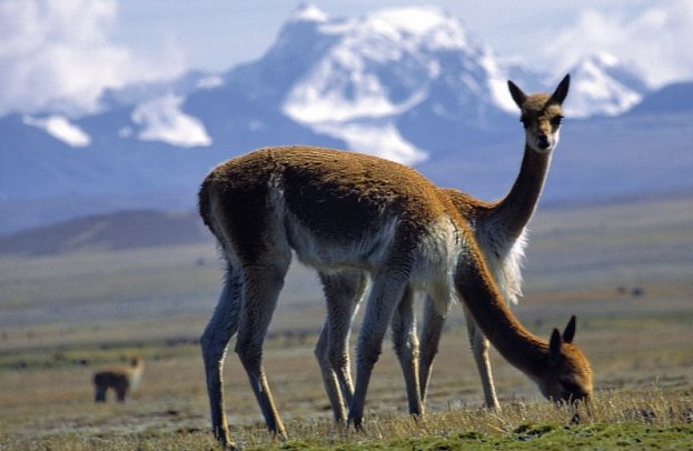 Große Südamerika Rundreise