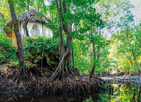 Chale Island Resort