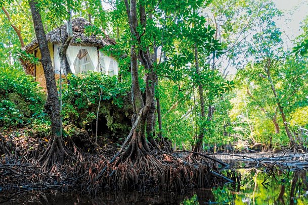 Chale Island Resort