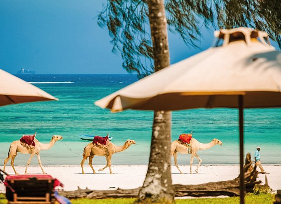 Nomad Beach Resort