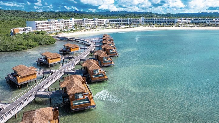 Princess Senses the Mangrove