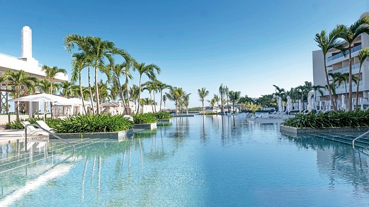 Princess Senses the Mangrove