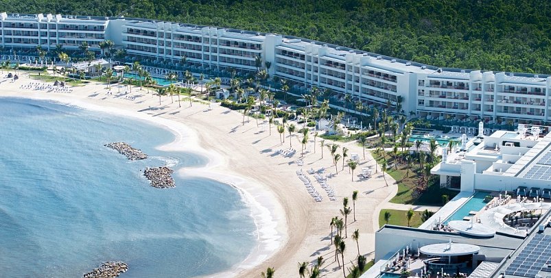 Princess Senses the Mangrove