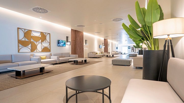 Princess Senses the Mangrove