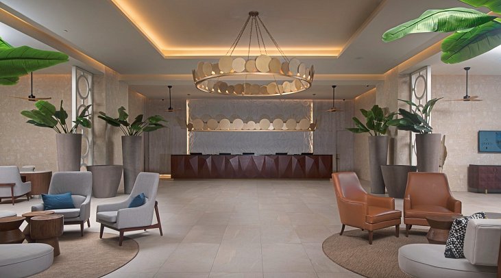 Princess Senses the Mangrove