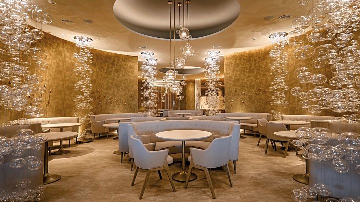 Princess Senses the Mangrove