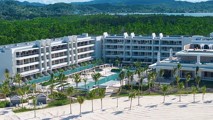 Princess Senses the Mangrove