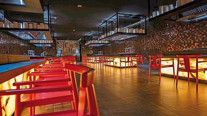 Princess Senses the Mangrove