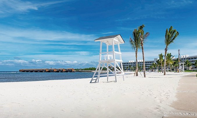 Princess Senses the Mangrove