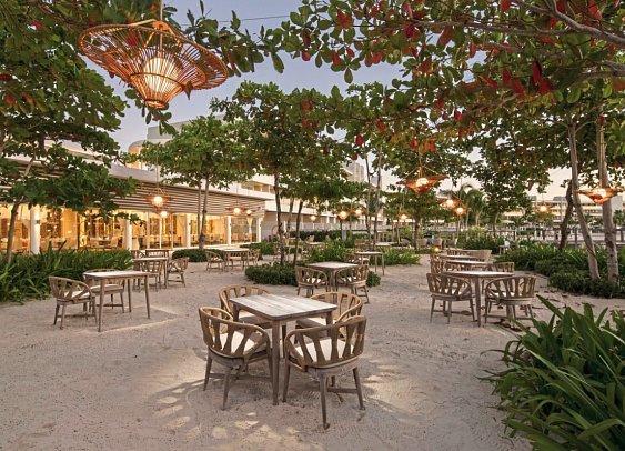 Princess Senses the Mangrove