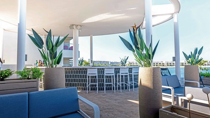 Princess Senses the Mangrove