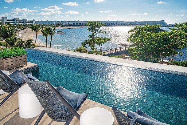 Princess Senses the Mangrove