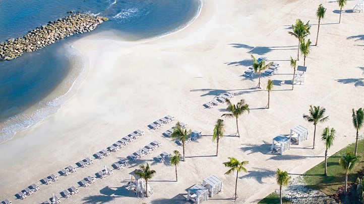 Princess Senses the Mangrove