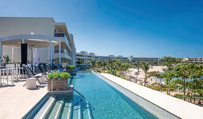 Princess Senses the Mangrove