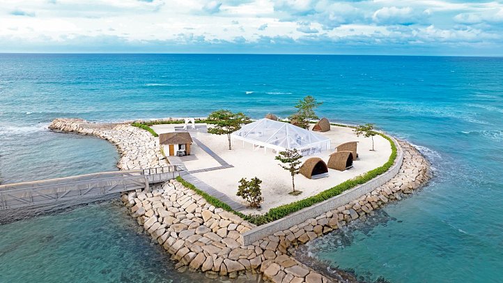 Princess Senses the Mangrove