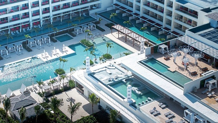 Princess Senses the Mangrove