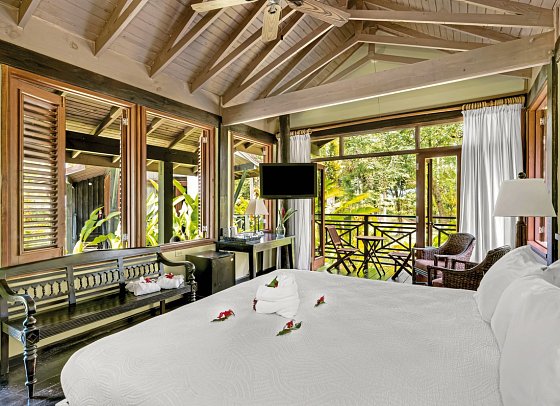 Sunset at the Palms - Wohnbeispiel Treetop Deluxe (Zimmercodierung BD1)