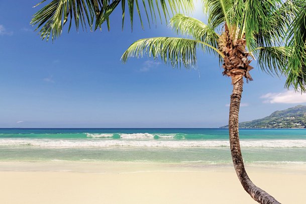 Reggae, Rum und Me(h)er