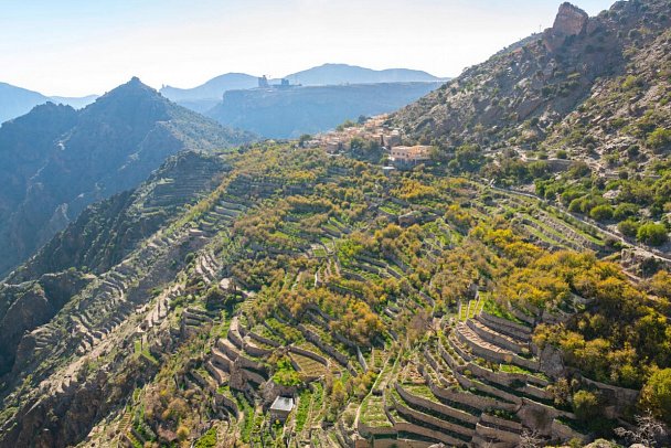 Highlights um Muscat - Grüne Terrassen Jebel Akhdar
