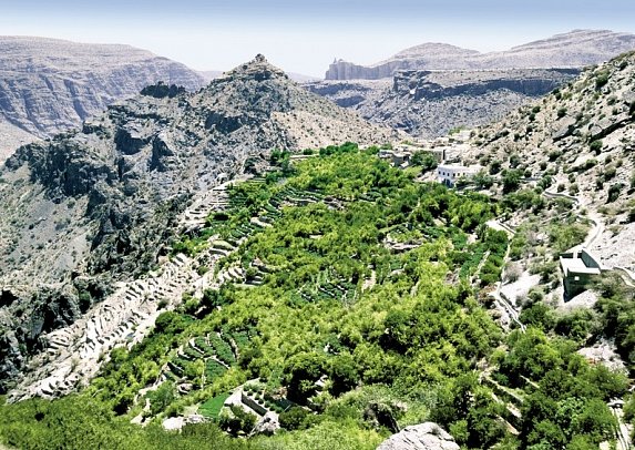 Oman: Von Gebirgen, Wüsten und Oasen - Jebel Akhdar
