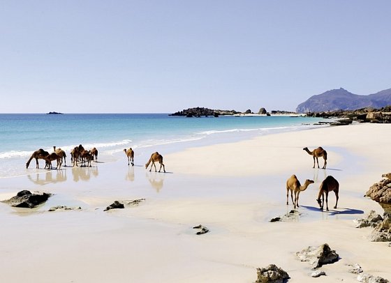 Die Weihrauchstraße - Der Duft des Orients - Salalah Strand