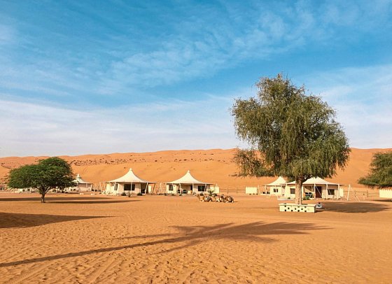 Desert Nights Resort