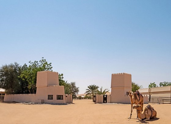 Desert Nights Resort