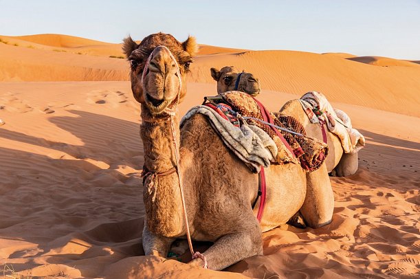 Oman entdecken