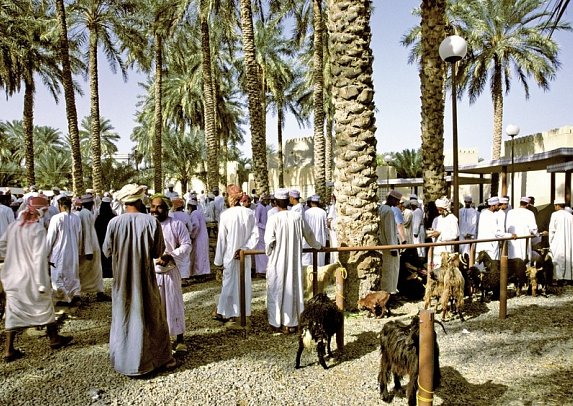 Oman entdecken - Nizwa