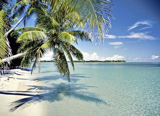 Best of Florida - Key West