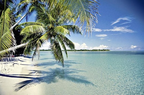 Best of Florida - Key West