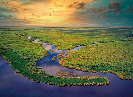 Best of Florida - Everglades Nationalpark