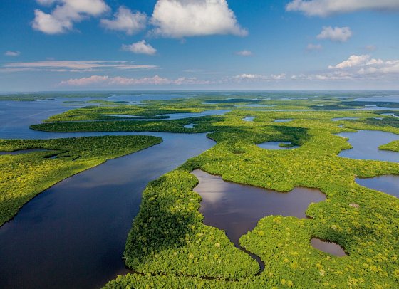 Florida & Bahamas – Vom Sunshine State ins Inselparadies - Everglades