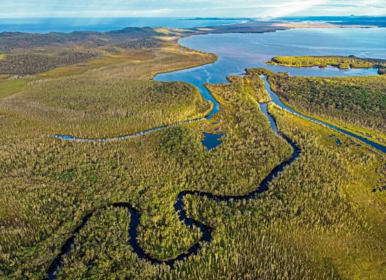 Florida & Bahamas – Vom Sunshine State ins Inselparadies - Noosa Everglades